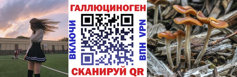 нарко площадка Telegram Мичуринск Галлюциногенные грибы мухоморы