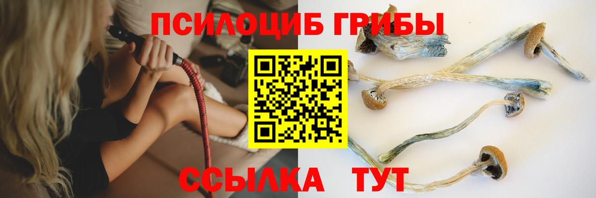 даркнет сайт  Псилоцибиновые грибы GOLDEN TEACHER  Вход с VPN  Мичуринск 